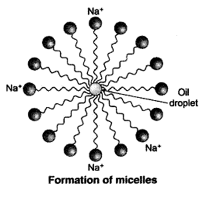 Carbon and its Compounds: 30 Must-Know Q&A