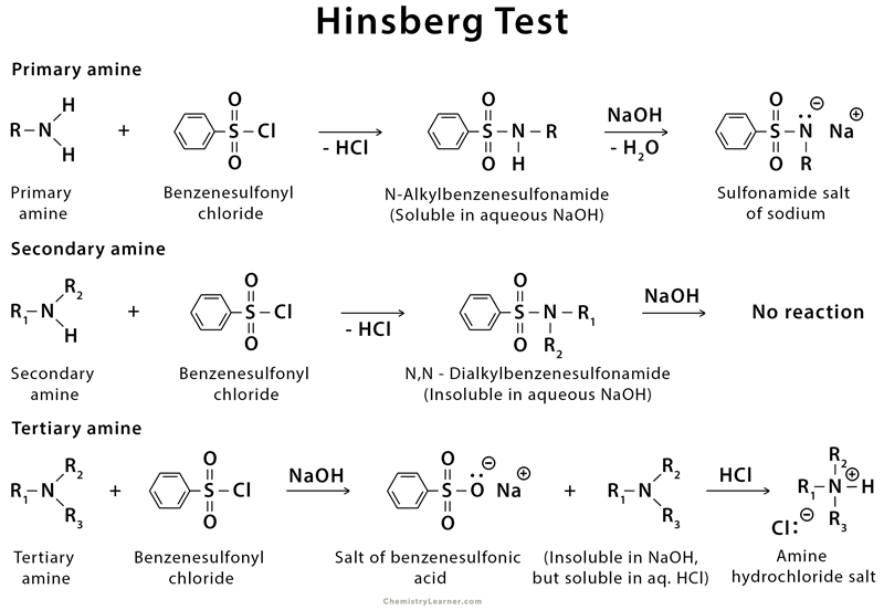 amine Hinsberg test