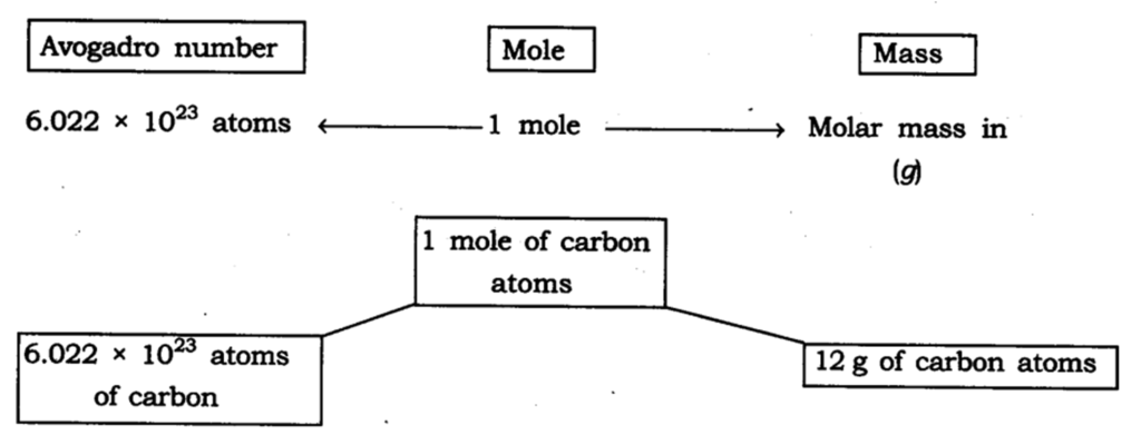Atoms and Molecules: 75 Must-Know Q&A