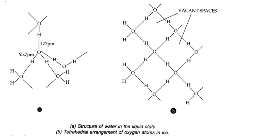 Describe the structure of common form of ice