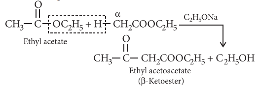 Top 51 Must-Know Organic Chemistry Reactions for Exams