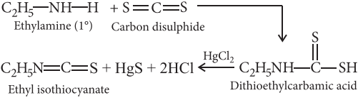 Top 51 Must-Know Organic Chemistry Reactions for Exams