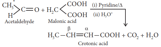 Top 51 Must-Know Organic Chemistry Reactions for Exams